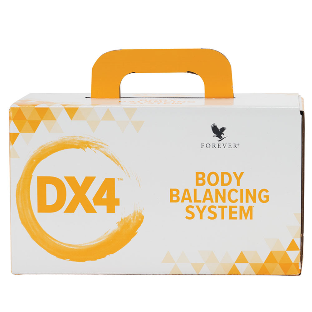 DX4 body balancing system